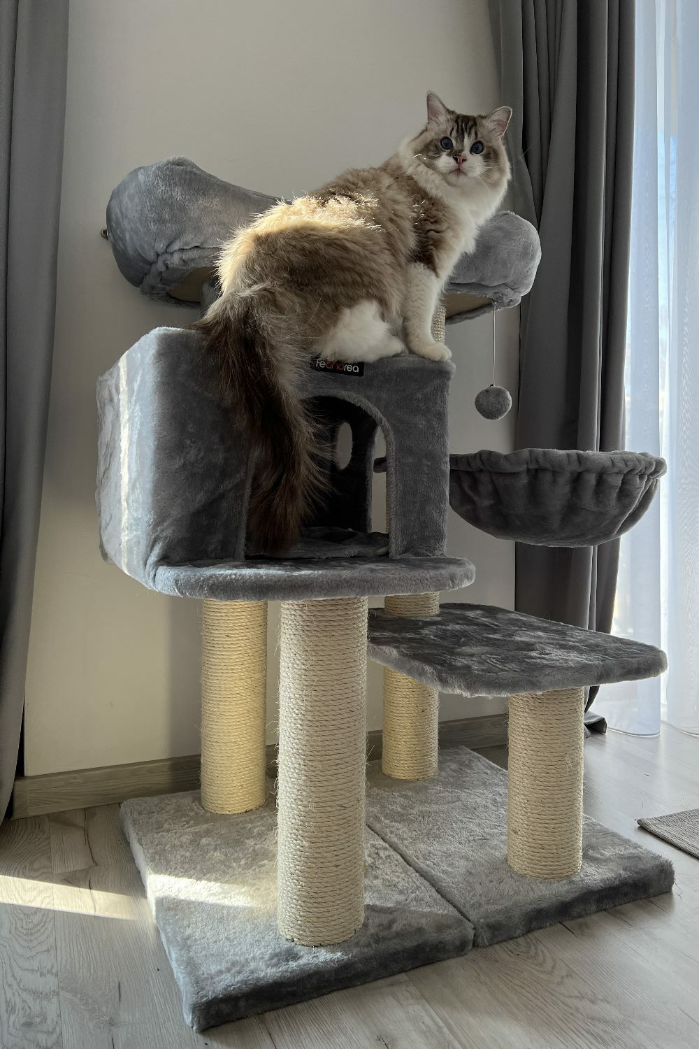 original_c59c6c2e44cfe271caa57eb924401a09